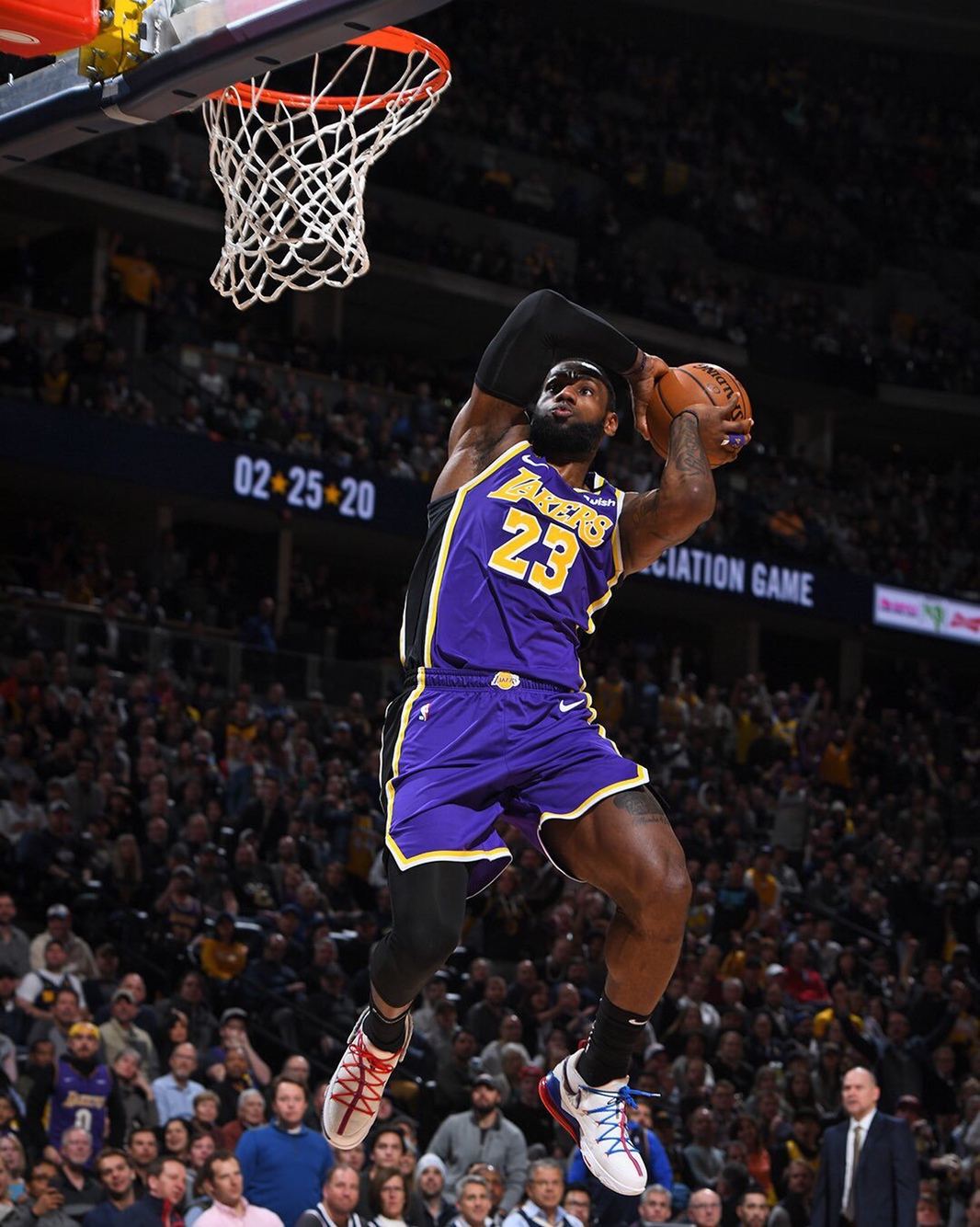 从澳大利亚 从澳大利亚